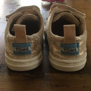 Baby Toms